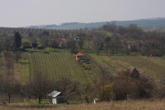 IMG_1634a