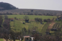 IMG_1635a
