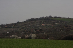 IMG_1699
