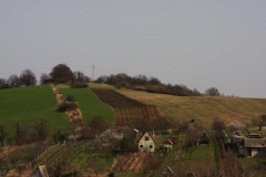 IMG_1712a