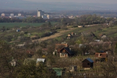 IMG_6785