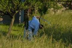 IMG_7443