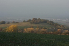 IMG_5377