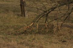 IMG_9491