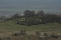 IMG_9522