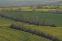 IMG_9609