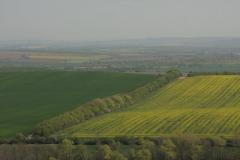 IMG_9611