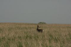 IMG_9627