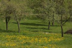 IMG_9680