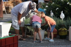IMG_4651