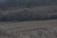 IMG_6182