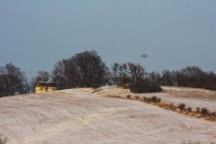 IMG_8559