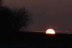 IMG_8584b