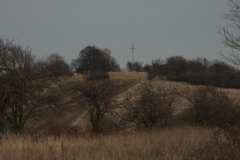 IMG_6475