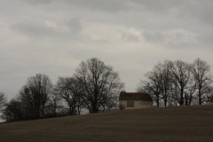 IMG_6564