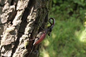 IMG_3710